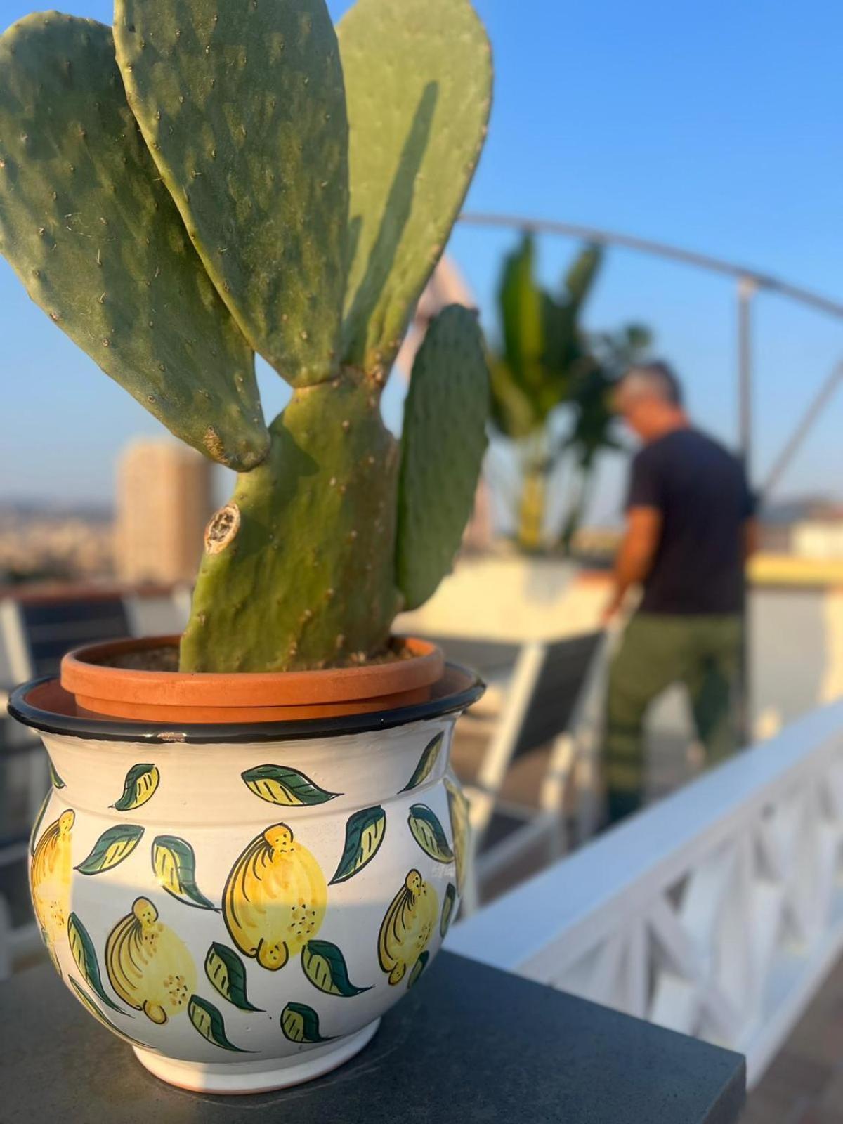 La Terrazza Sul Cielo Apartment คาตาเนีย ภายนอก รูปภาพ